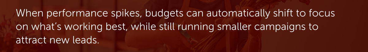When performance spikes, budgets can automatically shift to focus on what’s working best, while still running smaller campaigns to attract new leads.