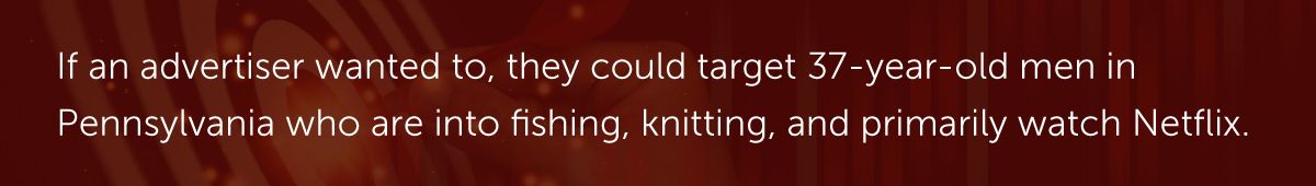 If an advertiser wanted to, they could target 37-year-old men in Pennsylvania who are into fishing, knitting, and primarily watch Netflix.
